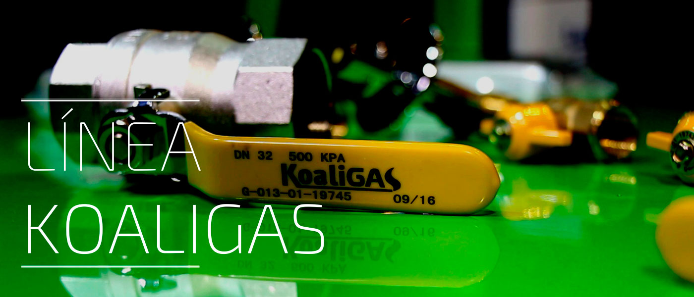 Koaligas gas domiciliario